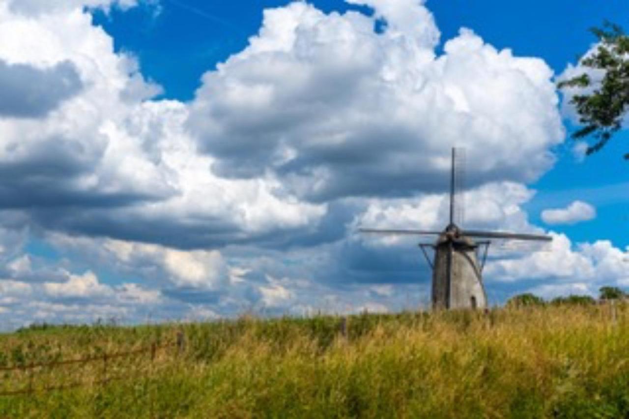 Vlaamse Ardennen Vakantiehuis Casa Caliente Met Wellness Avelgem Dış mekan fotoğraf